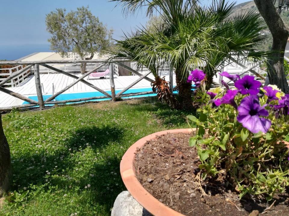 Апартаменти Il Casale Del Golfo Віко-Екуенсе Екстер'єр фото